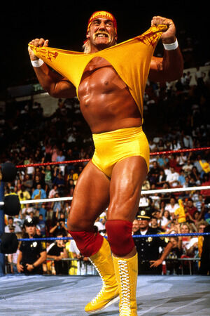 Hulk Hogan Signed 16x20 Photo Headband Pose WWE WCW WWF BAS Beckett  Witnessed | eBay