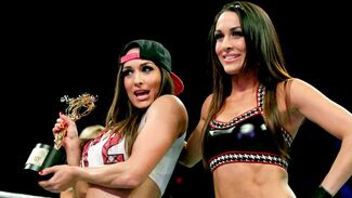 Image of The Bella Twins