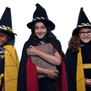 Miss Cackle S Academy For Witches The Worst Witch Wiki Fandom