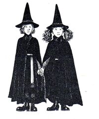 Worst witch book3004