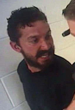 Shia Labeouf Worth The Candle Wiki Fandom