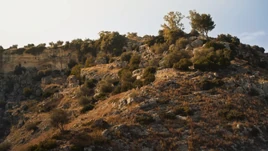 Arafel infobox