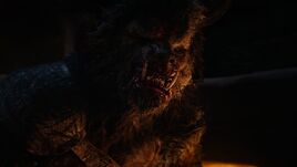 Narg infobox