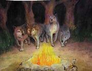 Wolves