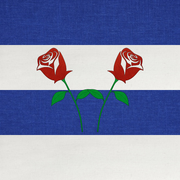 Two twinned red roses on a back of horizontal blue and white stripes