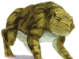 Grolm
