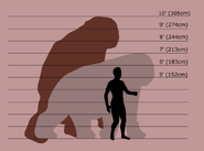 Size comparison with 5'10" (178 cm) man