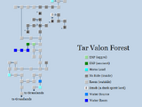 Tar Valon Forest