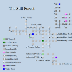 The Still Forest