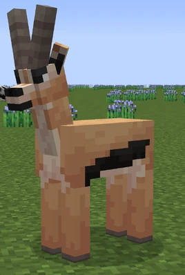 Gazelle (Animal) | WOTRMC Wiki | Fandom