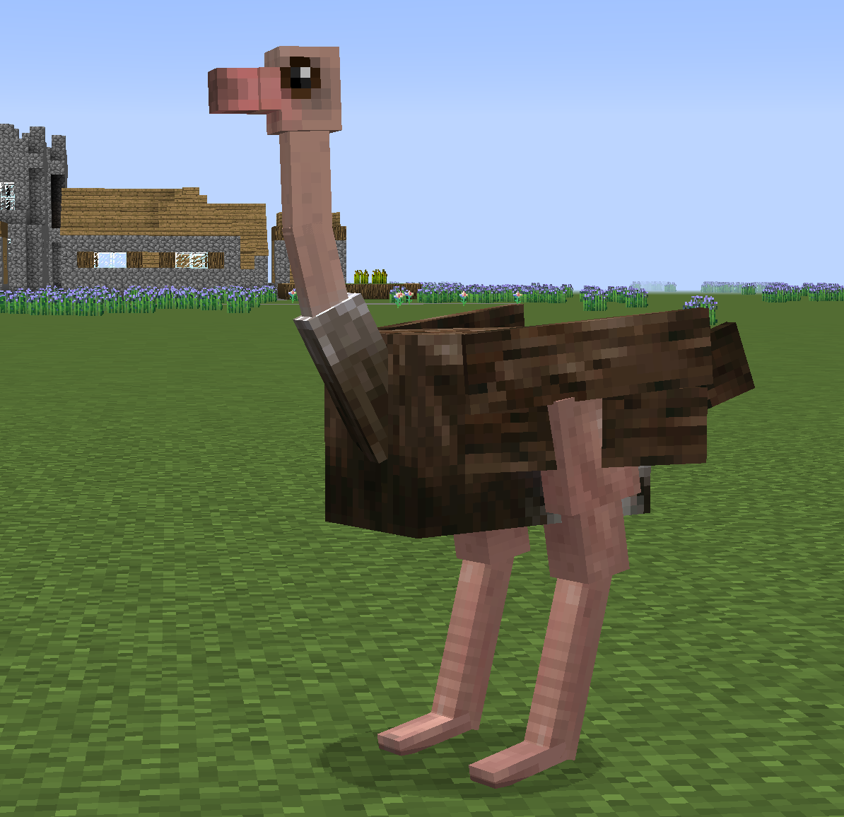 Ostrich (Animal) | WOTRMC Wiki | Fandom