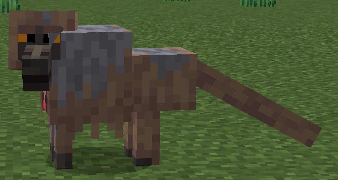 Grey Gelada Monkey (Animal) WOTRMC Wiki