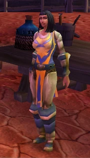 Pendant des années, le bastion de l’honneur s’est dressé face aux horreurs de la péninsule des Flammes infernales. Maintenant que la Porte est rouverte et que nous recevons de l’aide d’Azeroth, nous allons peut-être sortir de cette impasse.