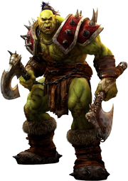 3D-Orc