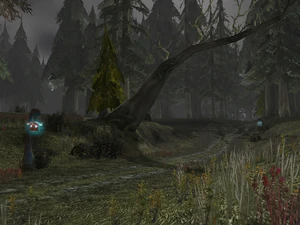 Ścieżka wzdłuż Darkshore