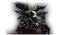 Ui-ej-boss-sha-of-violence.png