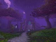 Twilight Grove