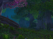 Nightsong Woods.jpg