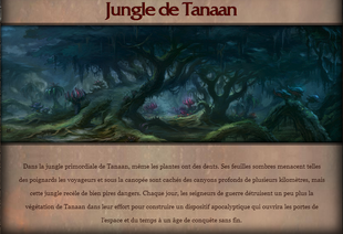 Jungle de Tanaan