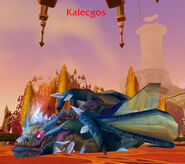 Kalecgos Dragon Form