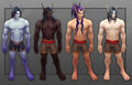 New void elf customization options