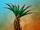 Lost Isles Cactus Palm concept art.jpg