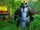 Пандарен (World of Warcraft)