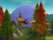 Chauve-souris (monture)