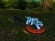 Bangal11.jpg (81 kio)