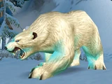 Bjarn