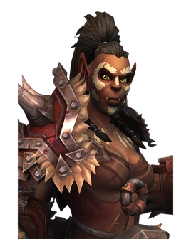 Orcs der Mag'har box