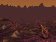 Wow hive.jpg