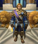 Roi Anduin Wrynn après les événements du Rivage Brisée