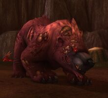 Ursoc wotlk.jpg
