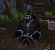 Chen Stormstout w 