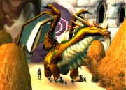 Anachronos of the Bronze Dragonflight