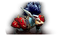 Ui-ej-boss-renataki.png