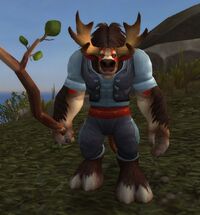 Image of Oro Junior