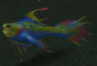 Image of Lake Frenzy