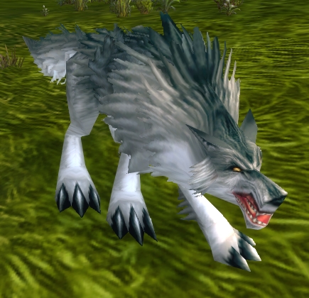 mangy wolf