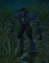 Image of Nightbane Worgen