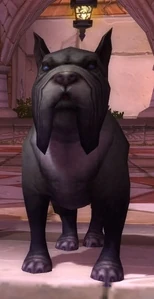 Image of Obedient Hound