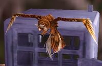 Image of Hoo