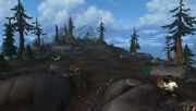 Splinterbark Roost top