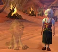 Who is the pet ?