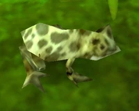 Image of Garden Frog