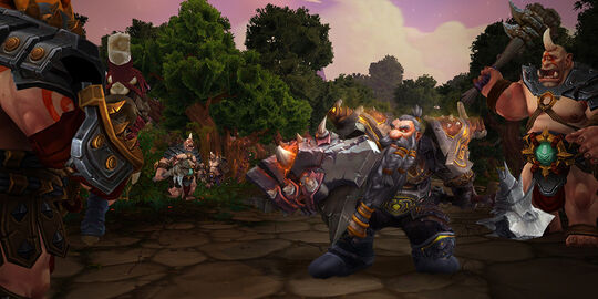 Warrior preview Protection