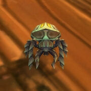 Sand Scarab