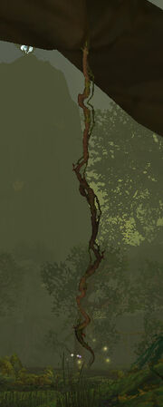 Sturdy Vine