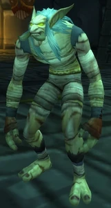 Image of Mummified Headhunter